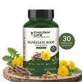 Dandelion Root Capsule 100% Natural Dandelion Root Tablets 30 Per Bottle 500mg - ChiltanPure