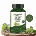 Giloy Capsule 100% Natural Giloy Tablets 30 Per Bottle 500mg - ChiltanPure