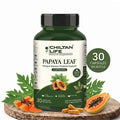Papaya Leaf Capsule 100% Natural Papaya Leaf Tablets 30 Per Bottle 500mg - ChiltanPure