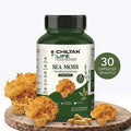 Sea Moss Capsule 100% Natural Sea Moss Tablets 30 Per Bottle 500mg - ChiltanPure
