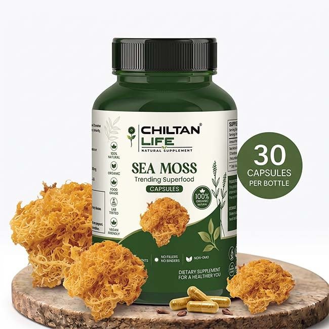 Sea Moss Capsule 100% Natural Sea Moss Tablets 30 Per Bottle 500mg - ChiltanPure