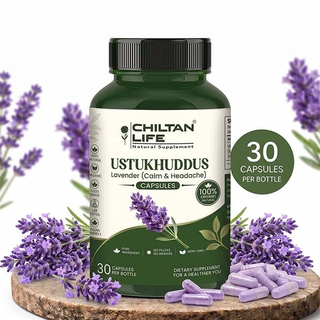 Ustukhuddus Capsule 100% Natural Ustukhuddus Tablets 30 Per Bottle 500mg - ChiltanPure